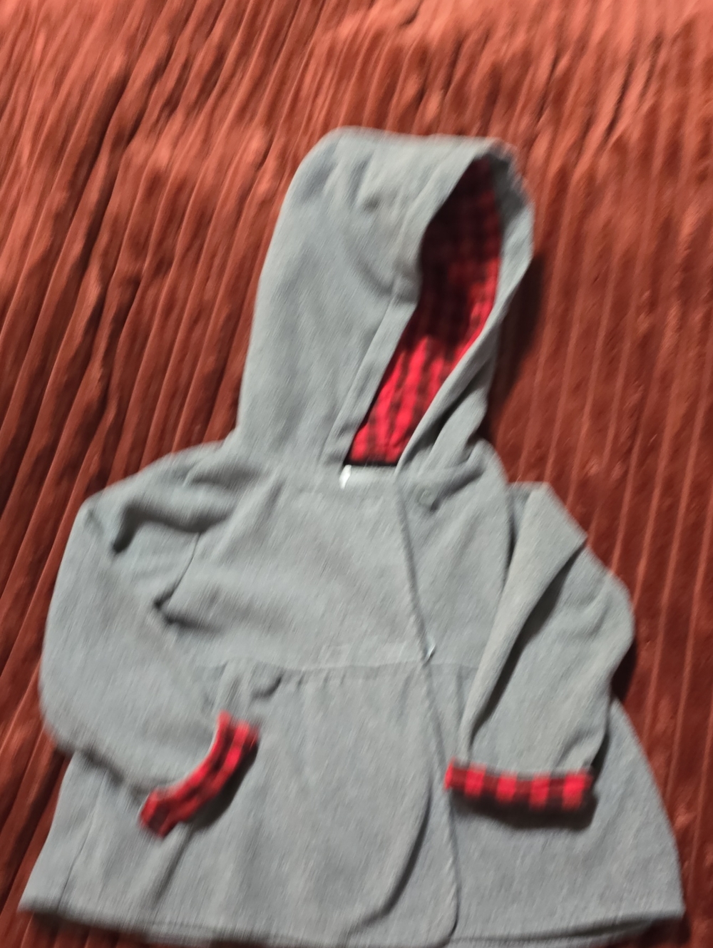 Carter's Gray Hoodie with Red Plaid Lining
